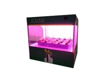 Pengumuman Lolos Administrasi Intern Campuspedia Batch 5.0