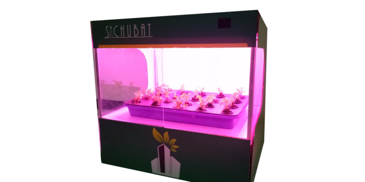 Pengumuman Lolos Administrasi Intern Campuspedia Batch 5.0