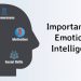 Emotional Intelligence itu apa sih?