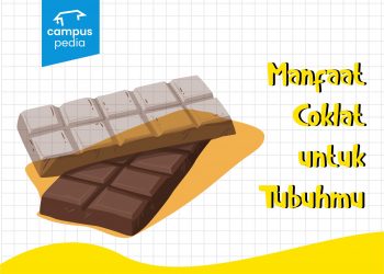 Manfaat coklat untuk tubuhmu