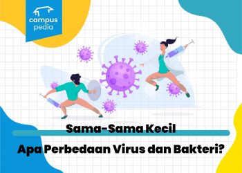 Sama-Sama Kecil, Apa Perbedaan Virus dan Bakteri?