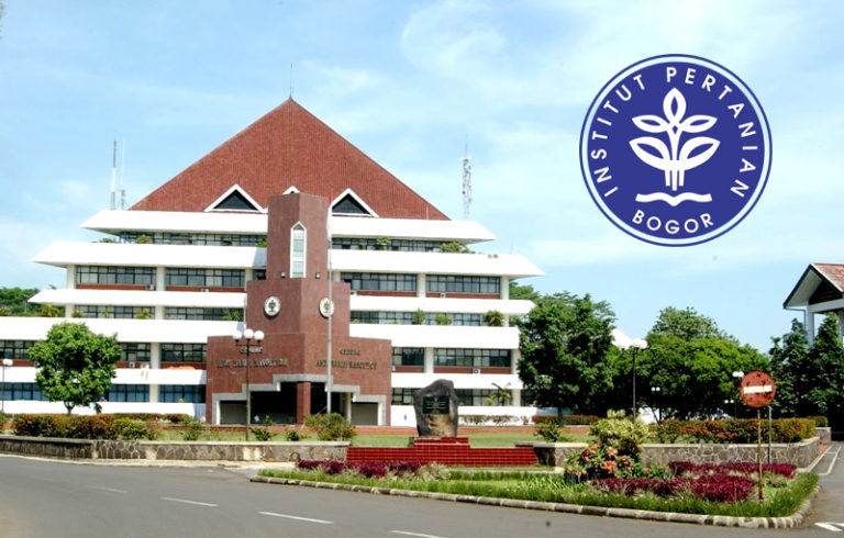 Kemendikbud peringkat indonesia universitas versi di 2021 Indonesia