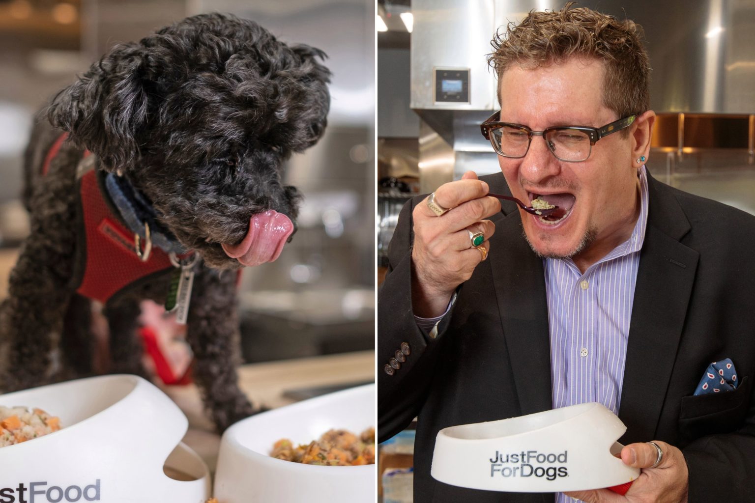 Mindblown! Simak 10 Profesi Unik dan Langka yang Anti Mainstream di Dunia! Campuspedia News