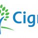 cigna innovation challenge